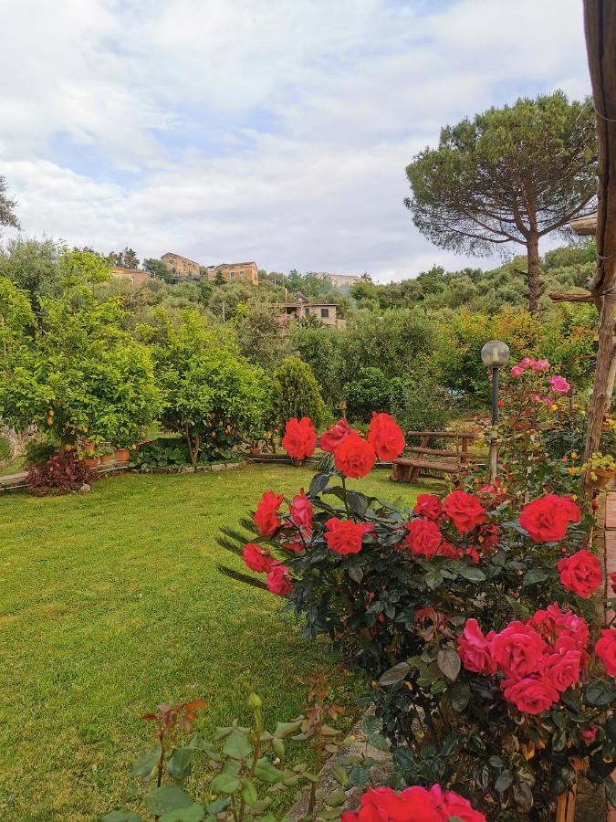 L'Angolo Di Campagna Пьяно-ди-Сорренто Экстерьер фото